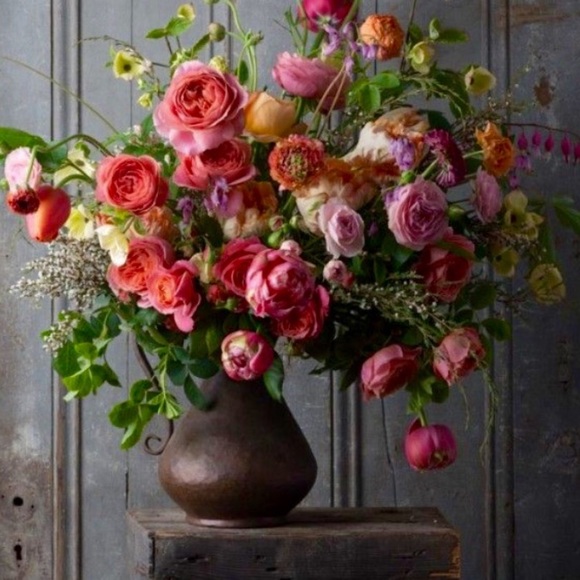 Meet your Posher, Ally - Picture 4 of 11